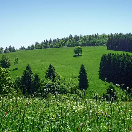 Ferienhauspark Σπίτι διακοπών Hasselfelde